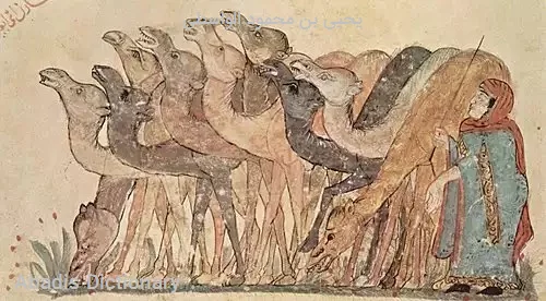 یحیی بن محمود الواسطی